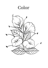 High Resolution Printable Colouring Worksheets for Kindergarten and Preschool Kids, Drawing Practise A4 Printable Designs.