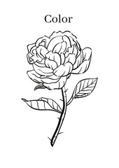 High Resolution Printable Colouring Worksheets for Kindergarten and Preschool Kids, Drawing Practise A4 Printable Designs.