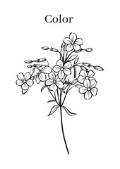 High Resolution Printable Colouring Worksheets for Kindergarten and Preschool Kids, Drawing Practise A4 Printable Designs.