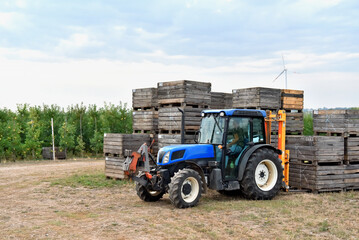 tractor loading on an apple tree plantation with wooden boxes