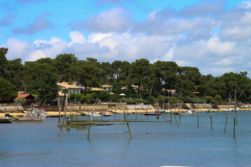 Cap ferret