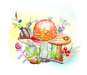 Autumn forest composition with mushrooms, herbs, berries. watercolor