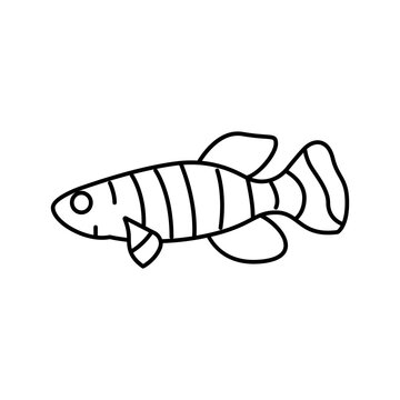 recommend clip art: killifish aquarium fish line icon vector illustration