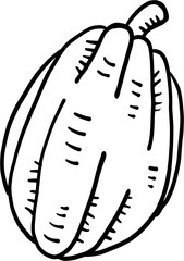 doodle freehand sketch drawing of cacao fruit.