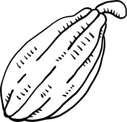 doodle freehand sketch drawing of cacao fruit.