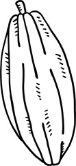 doodle freehand sketch drawing of cacao fruit.
