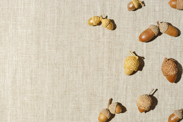 Autumn composition with natural dry acorns oak tree on fabric table, neutral background. Still life...