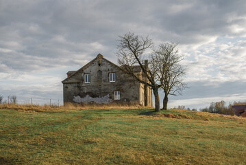 Obraz premium old house on a hill next to a tree
