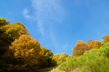 Fototapeta premium Autumn in the Pyrenees