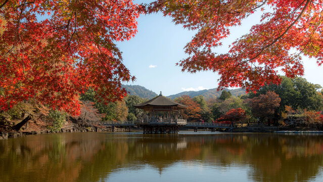fall colors on the lake.The appearance of the Ukimido Pavilion in the middle of the Sagi Pond with a maple leaf frame.