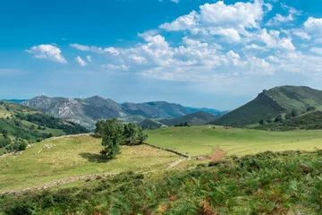 Fotobehang Slaapkamer Medioambiente y naturaleza   © Alan
