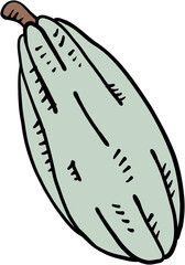 doodle freehand sketch drawing of cacao fruit.