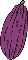 doodle freehand sketch drawing of cacao fruit.