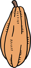doodle freehand sketch drawing of cacao fruit.