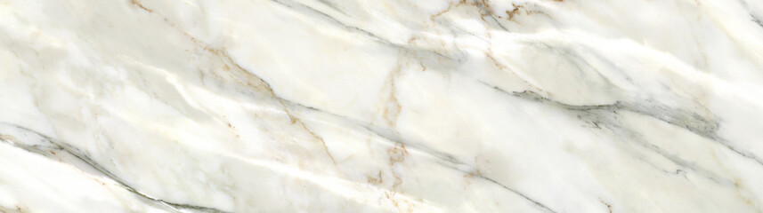 Fototapeta na wymiar high resolution white Carrara marble stone texture panorama high quality marble 