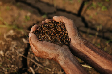 Farmer holding soil in hands close-up.