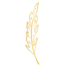 Elongated decorated golden feather clipart. Simple outline feather isolated vector illustration. Gold decoration for design