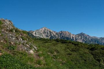 白馬三山を見ながら登る八方尾根
