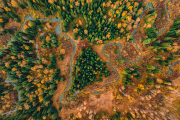 Autumn forest landscape at sunset with winding river among hills, aerial top view