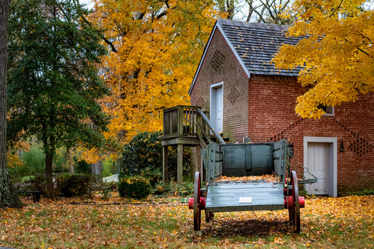 Colorful Autumn Leaves And Trees And Carriage At The Belle Meade Winery In Nashville Tennessee. 