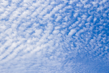 Fototapeta na wymiar White clouds like a sea wave shape in the light blue sky as background.