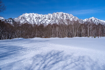 Fototapeta na wymiar 戸隠の雪原