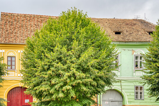 Margareten Bilder Durchsuchen 8,357 Archivfotos, und