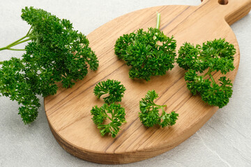 Fresh organic parsley herb isolated on white background. Close up