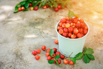 Fresh Acerola cherry, Barbados cherry, High vitamin C and antioxidant fruits.