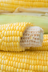 Closeup Yellow Corn, sweet corn, yellow corn background, healthy organic food, bio nutrition