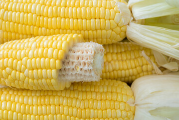 Closeup Yellow Corn, sweet corn, yellow corn background, healthy organic food, bio nutrition