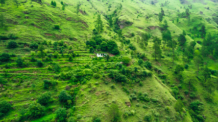 single remote house on a rural green mountain in Himachal Pradesh of North India