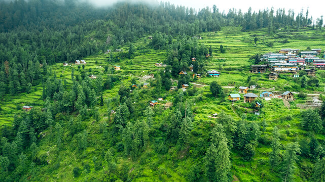 jibhi tour packages