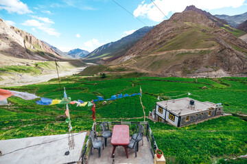 beautiful view of lush green farmland during summer in Mud Village of Pin Valley with mountain...