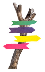 Color wood sign with dried tree - obrazy, fototapety, plakaty