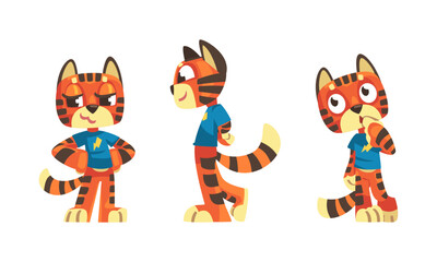 Funny emotional baby tiger set. Cute wild african animal character cartoon vector illustration