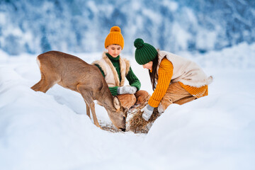 Two small children feed fawn with hay in winter. Caring for animals on deer farm.
