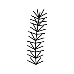 spruce branch line icon vector illustration