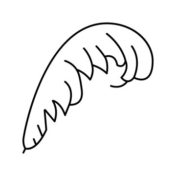 recommend clip art: plume feather soft fluffy line icon vector illustration