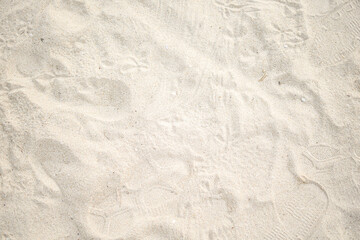 Sea beach sand with foot print texture can be use as background
