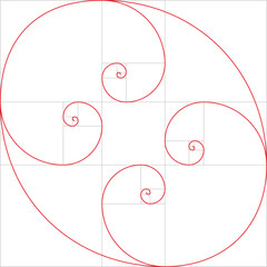 Fibonacci spirals. Golden ratio spirals. form an oval.