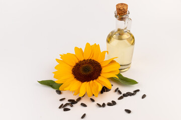 Sunflower oil in glass jug, seeds and flower isolated on white background
