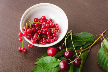 Green cherry leaves, red currant sprigs and ripe cherries in a white bowl closeup. Sweet currants spill out of the bowl. Red cherries and currants. Organic berries - healthy eating and food concept