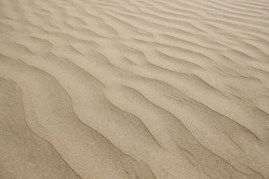 Texture of sand land