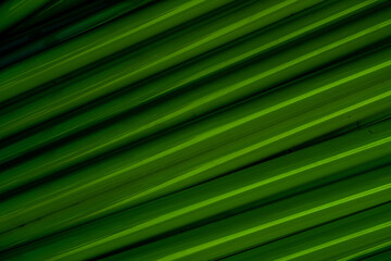 Abstract green stripes modern textured background