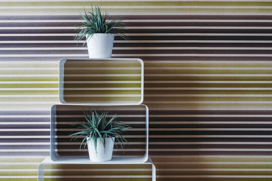 Set of plants in flowerpots in room with colorful walls