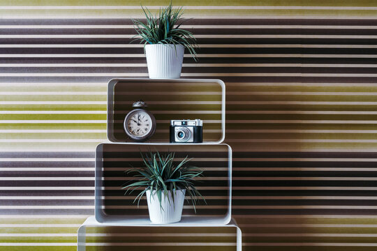 Potted plants and retro objects on shelves