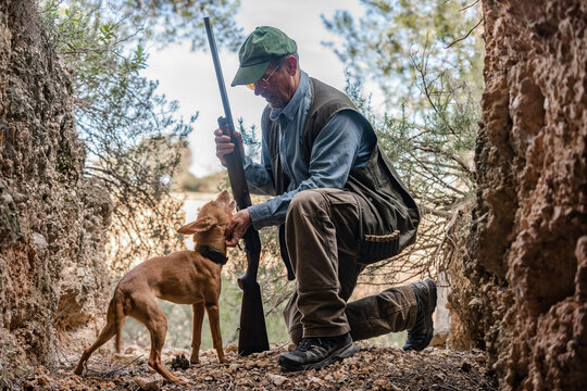 Male hunter with rifle and dog in nature