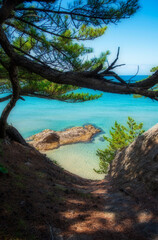 the beach with clear blue sea water is great for swimming in summer.