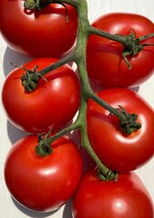 Tomato panicle with ripe red tomatoes